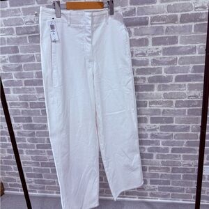 Aritzia Ascendent Pants